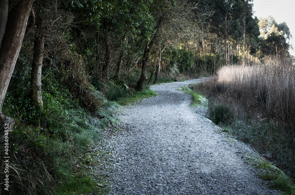 Obraz premium Passadiços de Esgueira