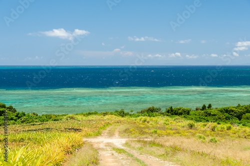 Fototapeta Naklejka Na Ścianę i Meble -  Road leading to see the beautiful gradient coral sea of ​​Okinawa. Iriomote Island.