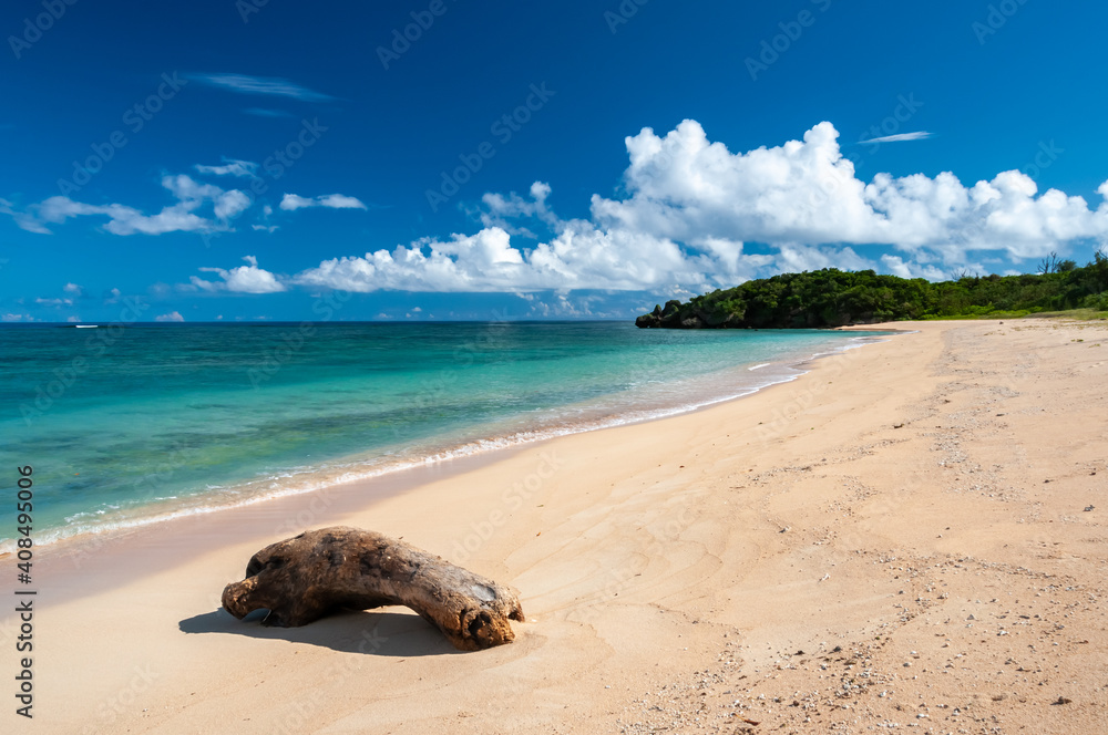 Fototapeta premium Incredible translucent emerald green sea, pleasant sands, a trunk composing the scene, on the serene Mimikiri beach. Iriomote Island.