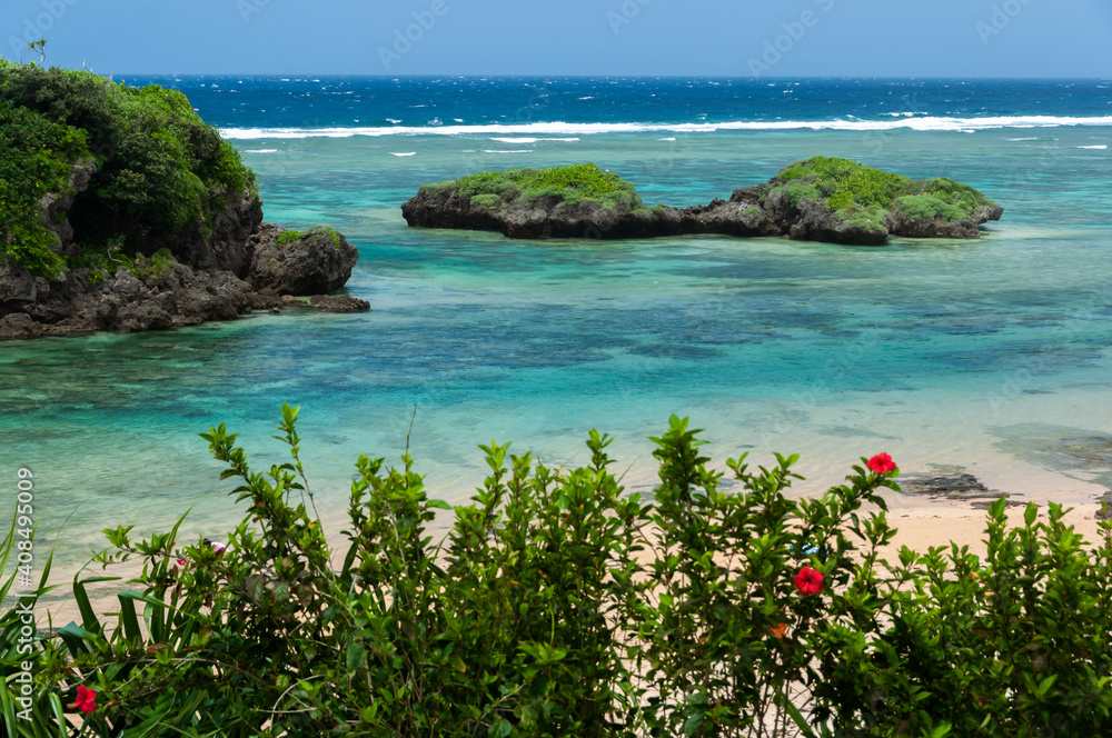 Top view of hoshizuna beach with its transparent and green waters and some hibiscus flowers in foreground. Iriomote island.
