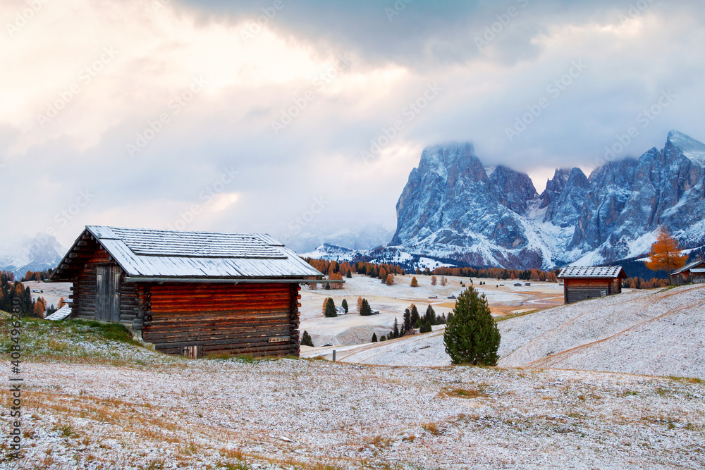 Alpine meadow and wooden house the Alpe di Siusi or Seiser Alm the Langkofel group mountains with Bolzano province, south Tyrol at Dolomites