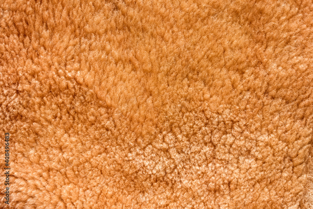 close up of a fur close up of a fur
