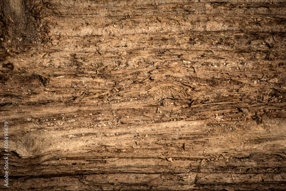 Fototapeta premium old wood texture