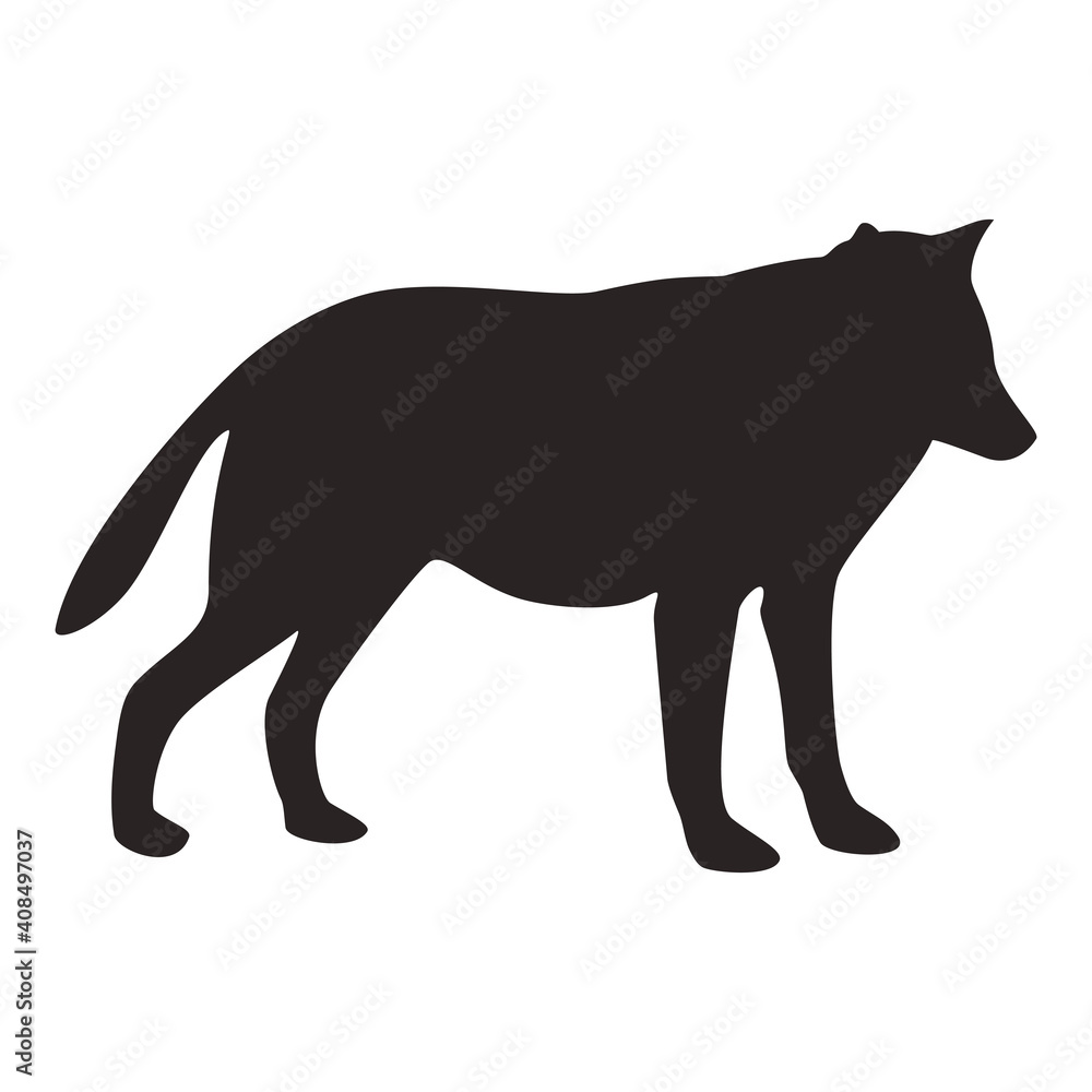 Wolf silhouette, icon. Vector image on a white background.