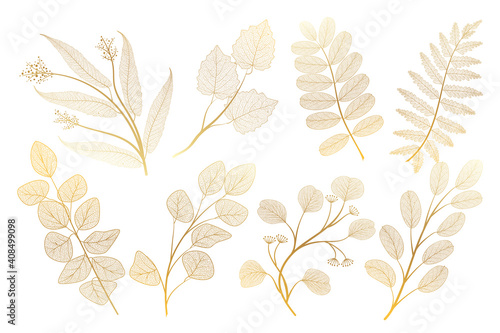 Set leaf veins of gold on white. Vector illustration. 