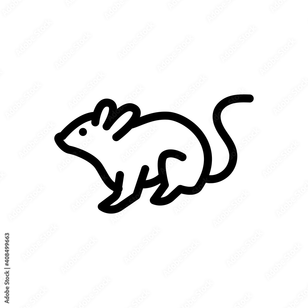 rat rat