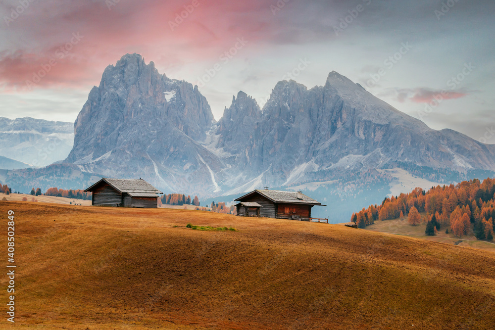 Cozy details on the Alpe di Siusi (Seiser Alm) mountain plateau, pine trees in autumn colors in the background of the Langkofel mountains in the Dolomites mountains