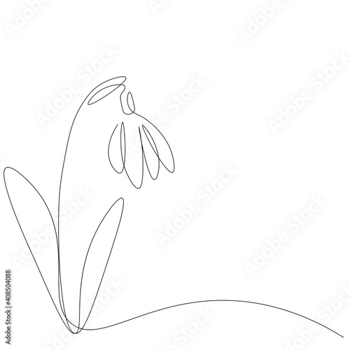 Snowdrop flower on white background, vector illustration