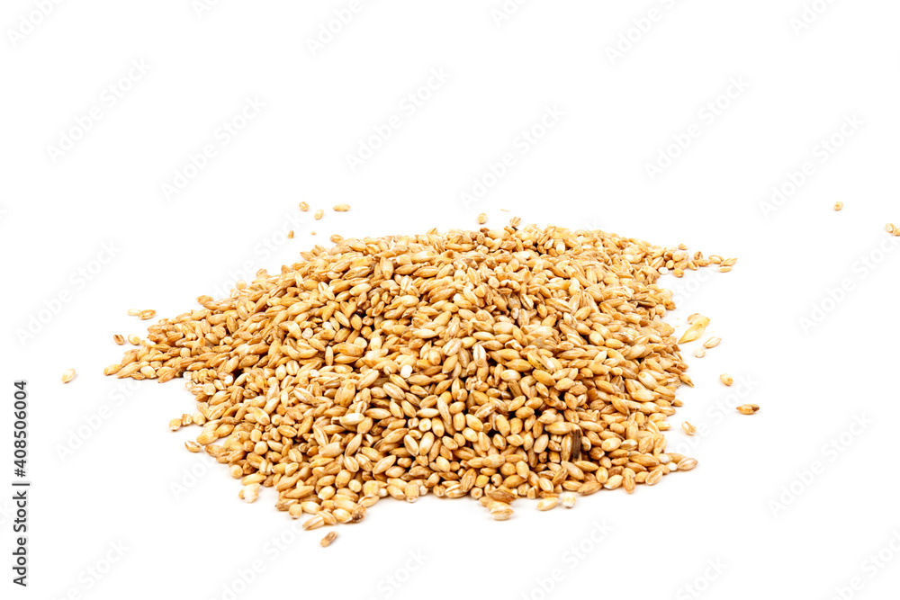 wheat grains isolated on white background with clipping path, close-up wheat grains isolated on white background with clipping path, close-up