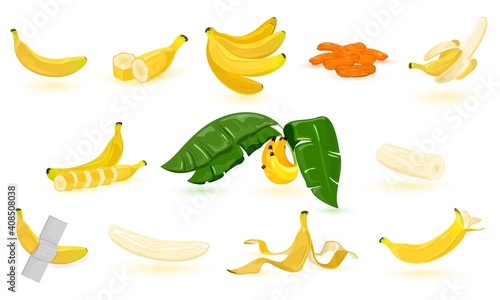 Collection of banana fruit, slice, peel, pulp. Vector vitamin and diet fruit. Tropical fruit, banana snack or vegetarian nutrition idea isolated on white background