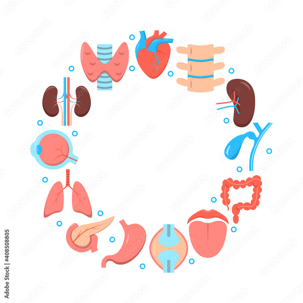 Medical science poster with human organs icons in flat style