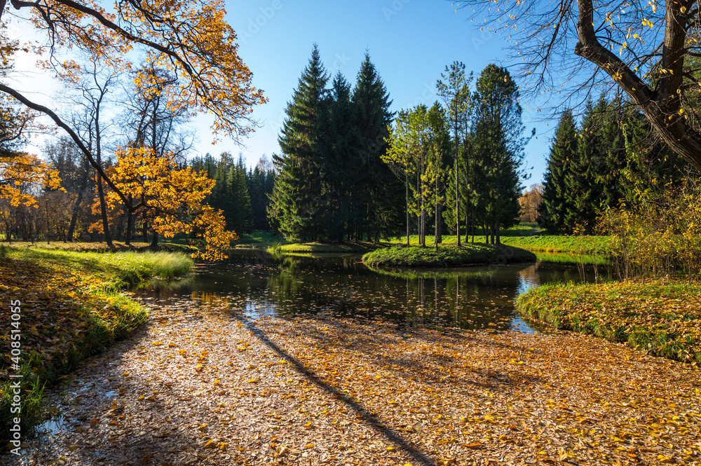 Fototapeta premium View of city park