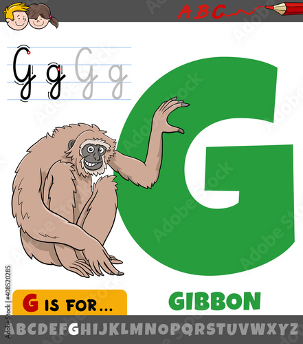 letter G from alphabet with cartoon gibbon ape