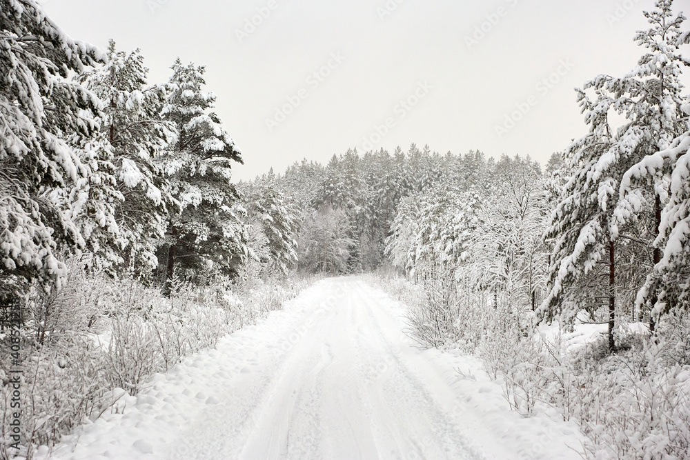 Snow covered Forest Road in Sweden
