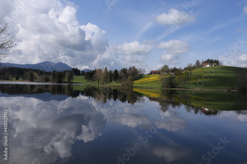 Clouds and meadow with dandelion are reflected in Lake Schwaltenweiher in the beautiful Allg  u  Bavaria