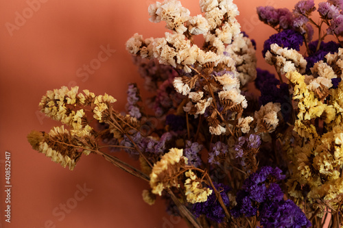 Closeup of Multicolor lavender flowers bouquet © Chris DoAl