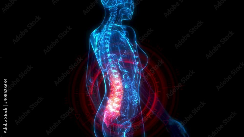 Lumbar, low part of spine on xray body, medicine 3D animation Lumbar, low part of spine on xray body, medicine 3D animation