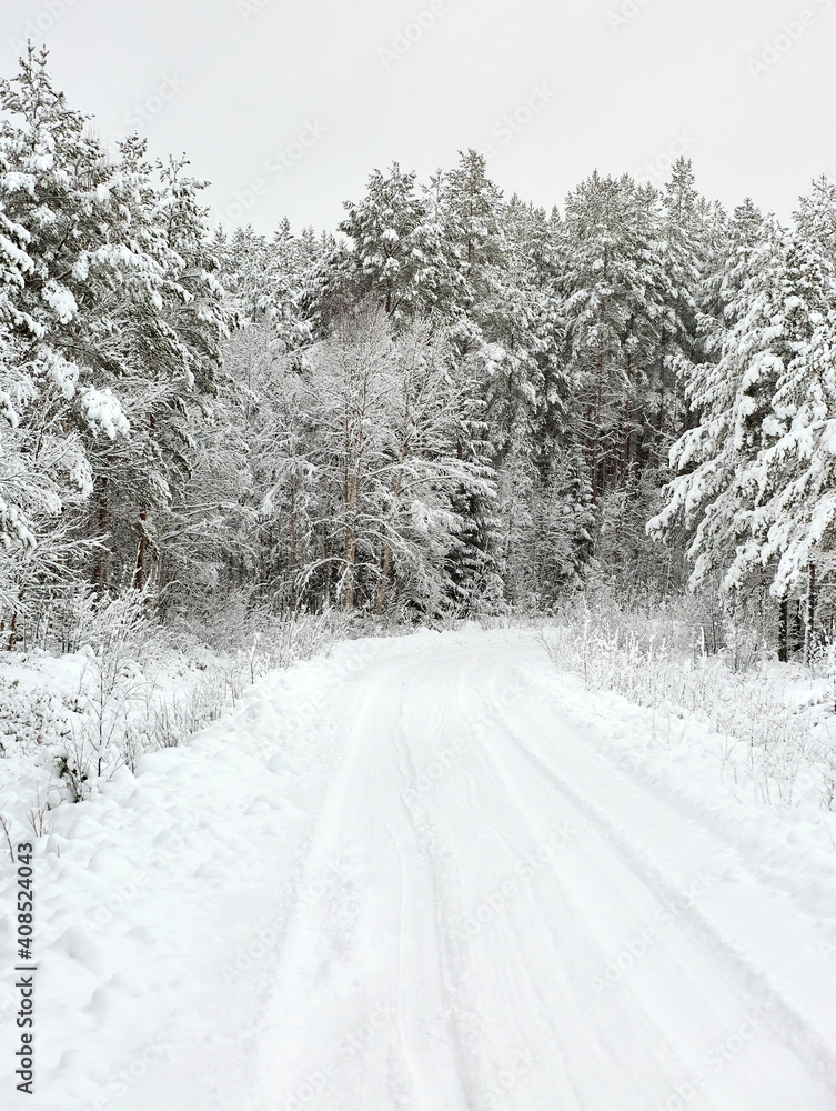 Snow covered Forest Road in Sweden Snow covered Forest Road in Sweden