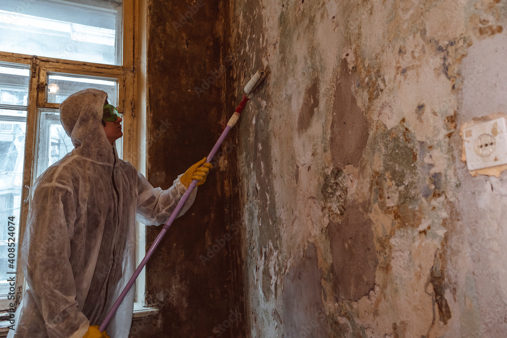 painter worker paints walls with roller primer finishing work protective suit painter worker paints walls with roller primer finishing work protective suit