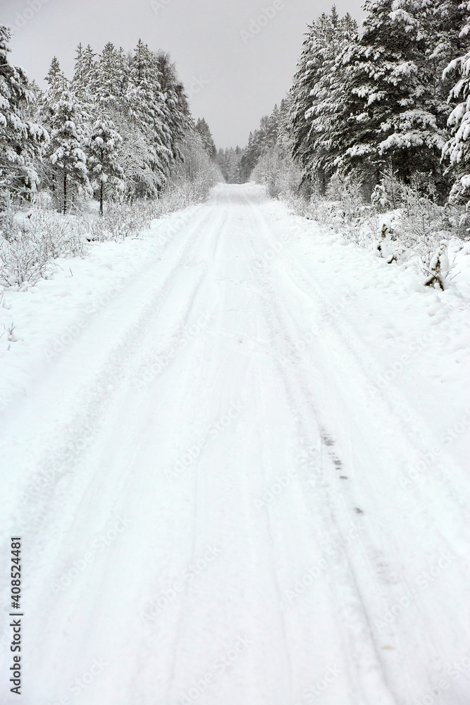 Obraz premium Snow covered Forest Road in Sweden