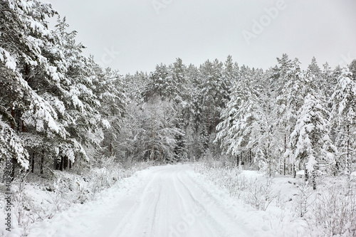 Snow covered Forest Road in Sweden