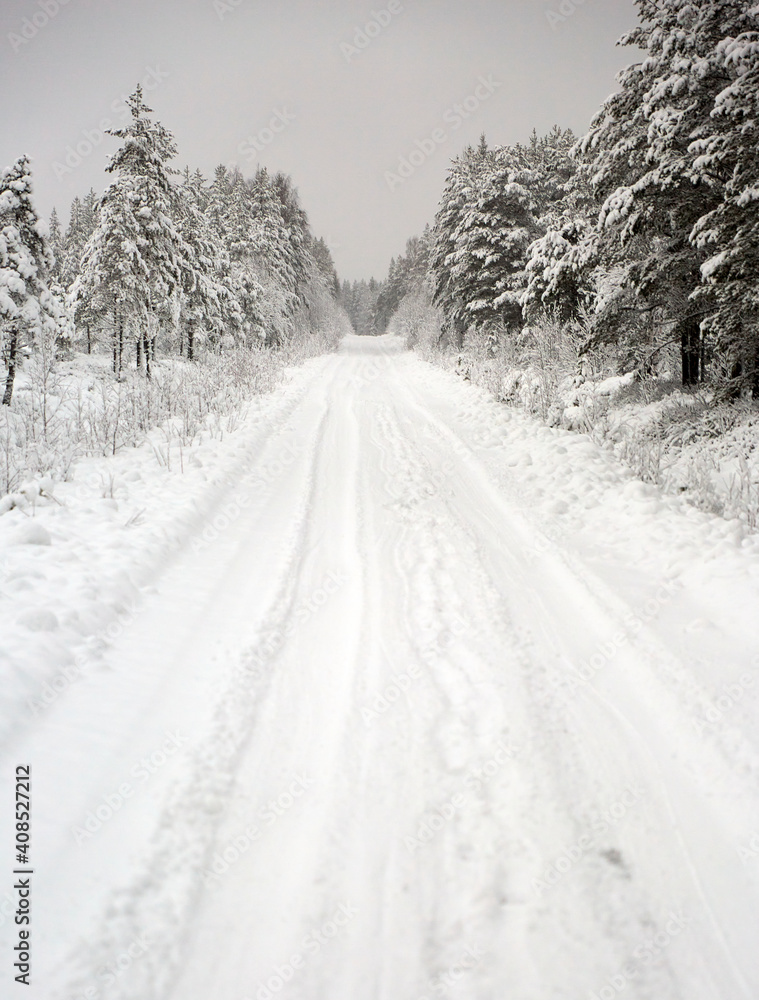Obraz premium Snow covered Forest Road in Sweden