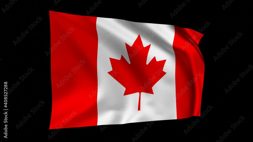 The flag of Canada animation, Canadian 3D waving flag on black screen, national flag 4K animation background. The flag of Canada animation, Canadian 3D waving flag on black screen, national flag 4K animation background.