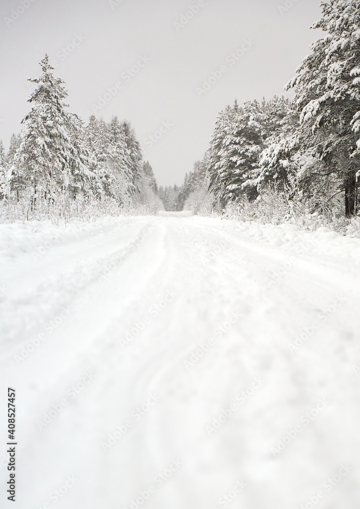 Snow covered Forest Road in Sweden Snow covered Forest Road in Sweden