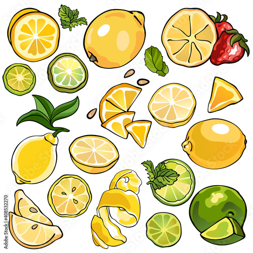 Collection of citrus, lemons and limes, colorful illustrations of fruits, yellow and green color, isolated, for custom design and print.