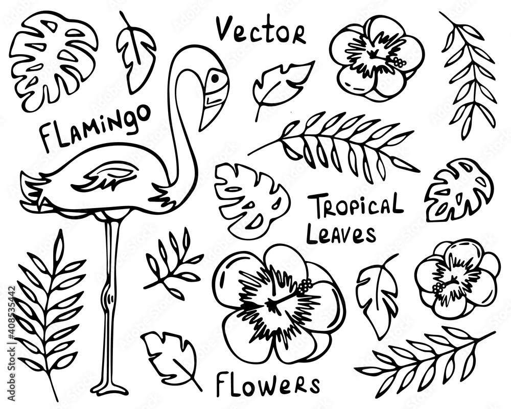 Hand drawn tropical summer doodles. Flamingos, exotic flowers, branches and leaves. Isolated elements on a white background.  Image