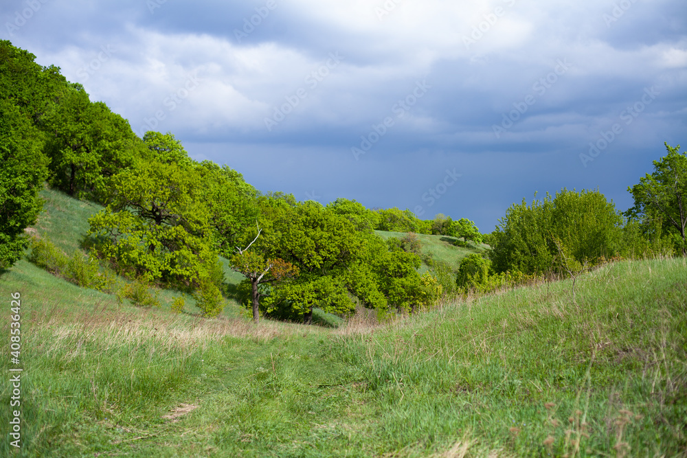 large horizontal photo. Nature. Ecology. Summer time. Environment. Scenery. Forest before the rain. Tall beautiful green trees on the slope. Wild forest. Fresh air. Rain clouds.