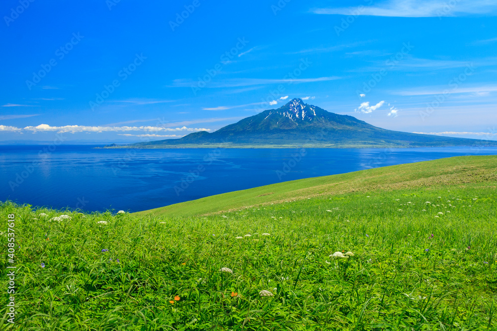Fototapeta premium 礼文島 利尻富士を望む