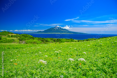 Wallpaper Mural 礼文島から望む利尻富士 Torontodigital.ca