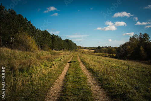 path in the field towards the trees