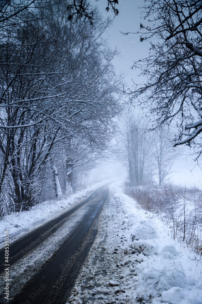 Fog over winter outdoor scene at Lower Silesia, Poland