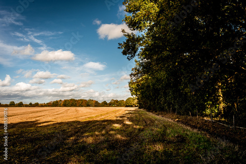 sunset over the field