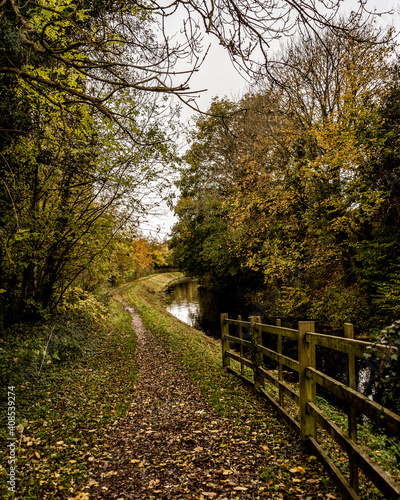 path in autumn forest