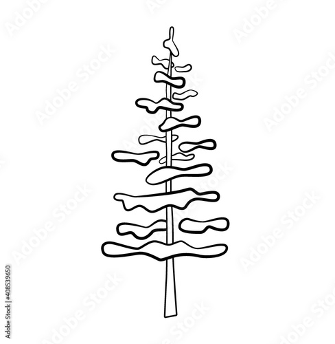 Doodle spruce. Hand draw tree, sketch vector illustration.