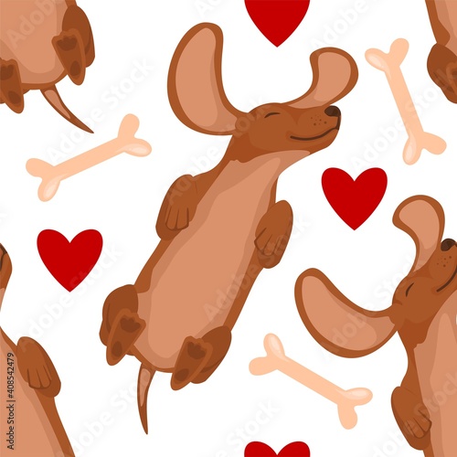 Pattern appy dog lies on his back in a sweater