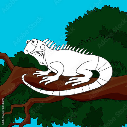 Colorless cartoon iguana on branch on colorful background. Template coloring book of fun lizard for kids. Coloring page about cute animal. Anti-stress page for child. Beautiful outline education game