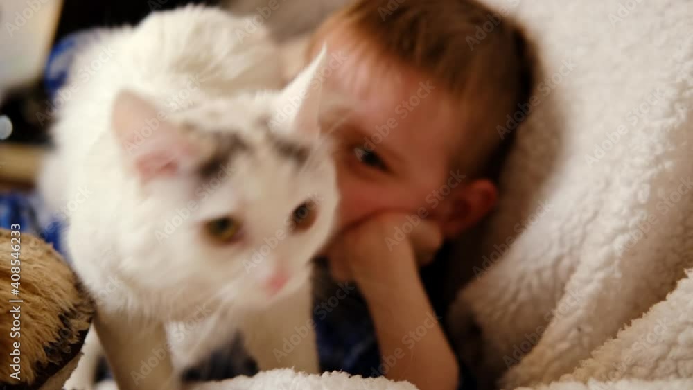 The cat doesn't want to play with the baby. Breaks free from his hands and runs away. The cat doesn't want to play with the baby. Breaks free from his hands and runs away.