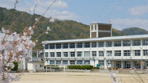 学校と桜の花　春イメージ　入学式　新学期