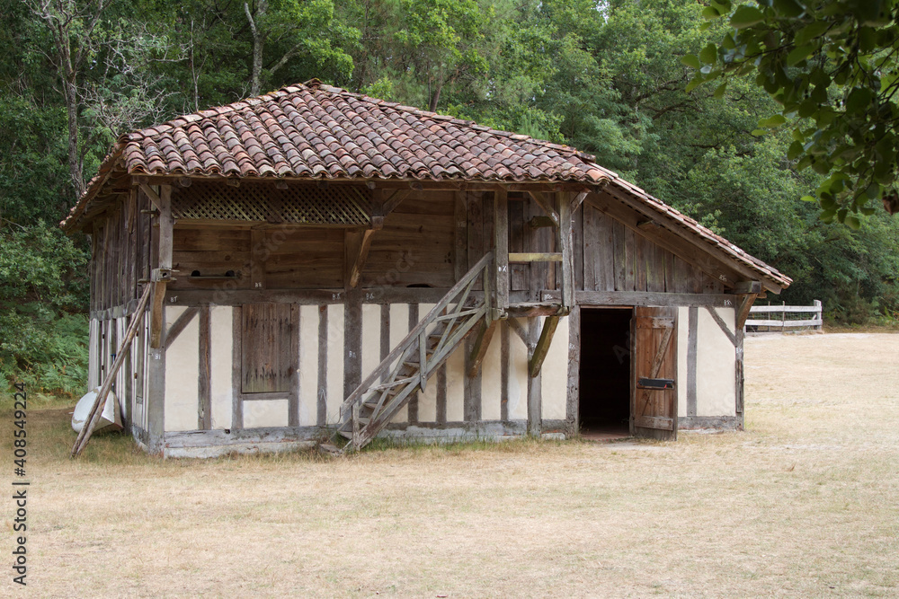 cabane dans les landes