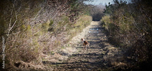 Une partie de chasse © Kristof