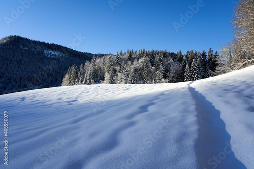 Snowpack during winter with landscape of firs