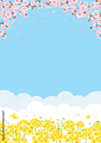 桜と菜の花畑 青空バックの背景イラスト（縦長 A3・A4比率） © pp7