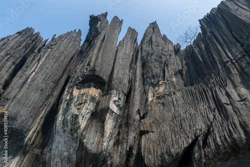 Panoramic view of massive and unusual karst rock outcrop known as Bhairaveshwara Shikhara located in Yana, Karnataka, India photo