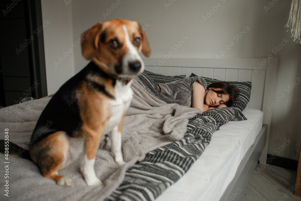 young woman with a dog on the bed in the bedroom young woman with a dog on the bed in the bedroom