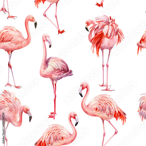 Pink flamingo isolated background, watercolor illustration, seamless pattern © Hanna