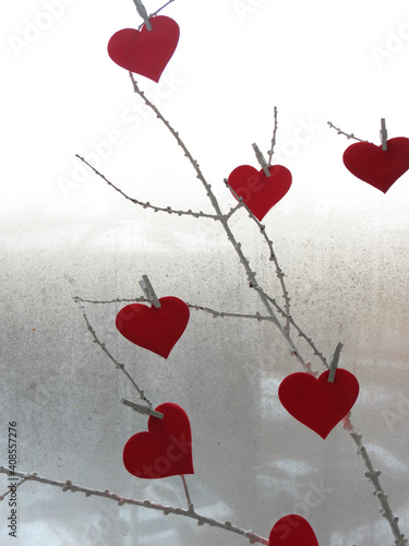 Red hearts on a white twig against the background of a window